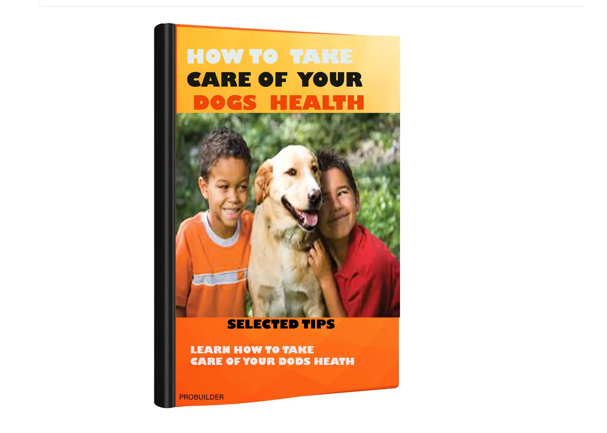 HOW TO TAKE CARE OF YOUR DOGS HEATH?