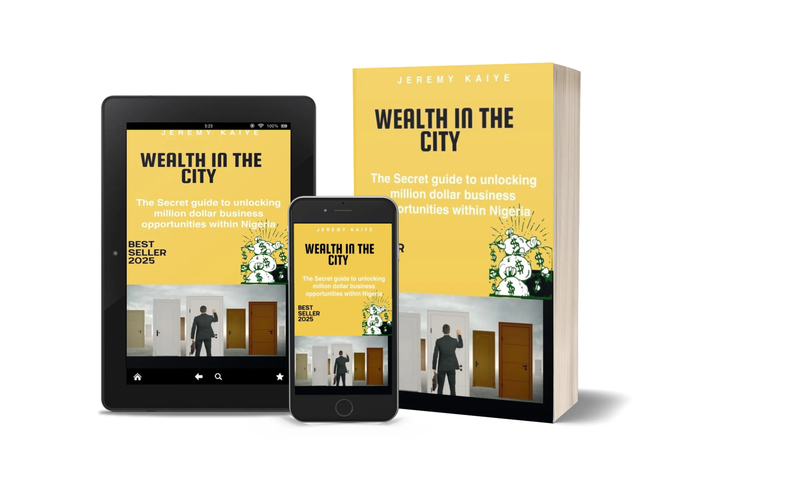 Wealth In the city: Discovering Business and Career opportunities within Nigeria and Africa Ebook Guide