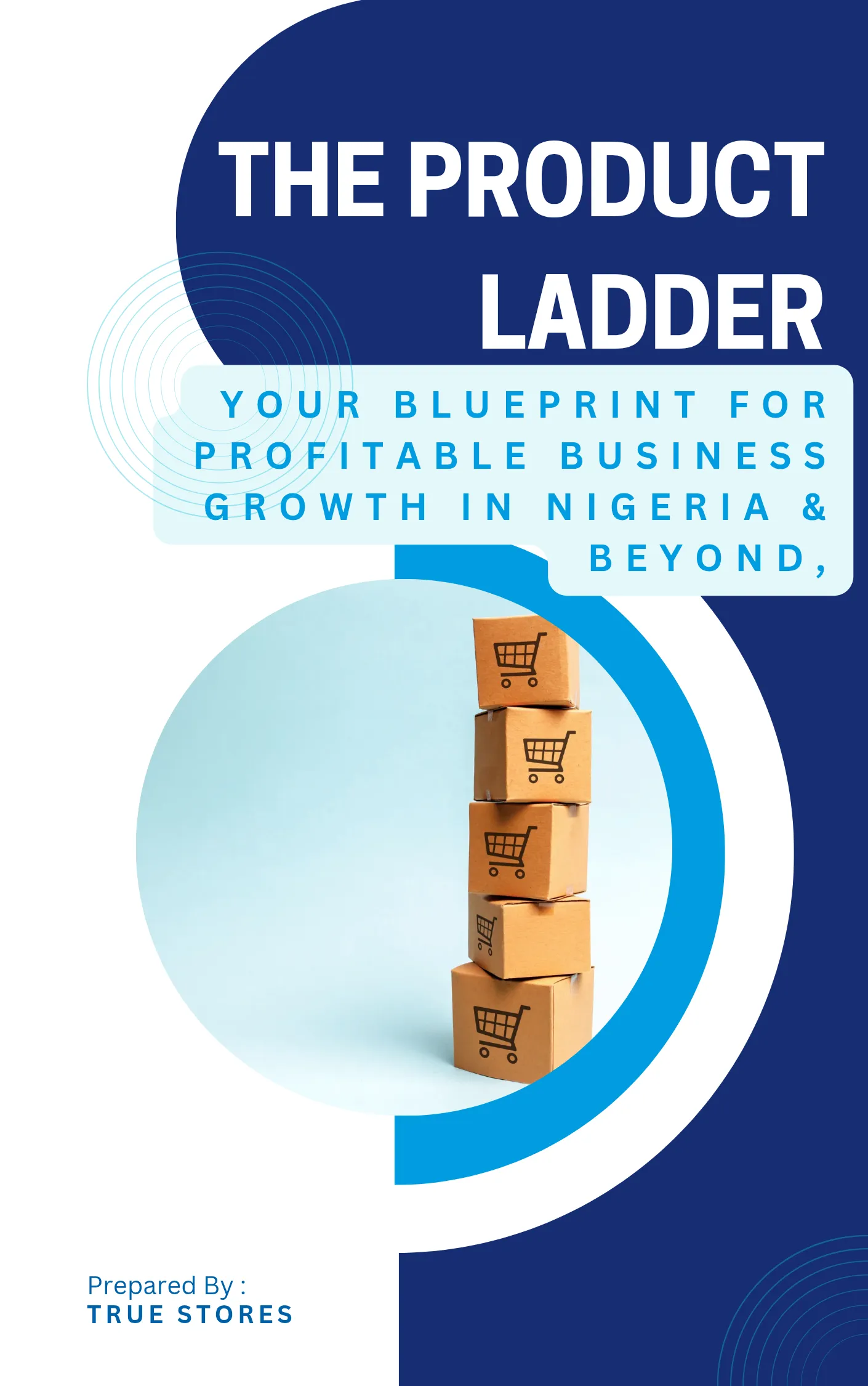 The Product Ladder: Your Blueprint for Profitable Business Growth in Nigeria & Beyond